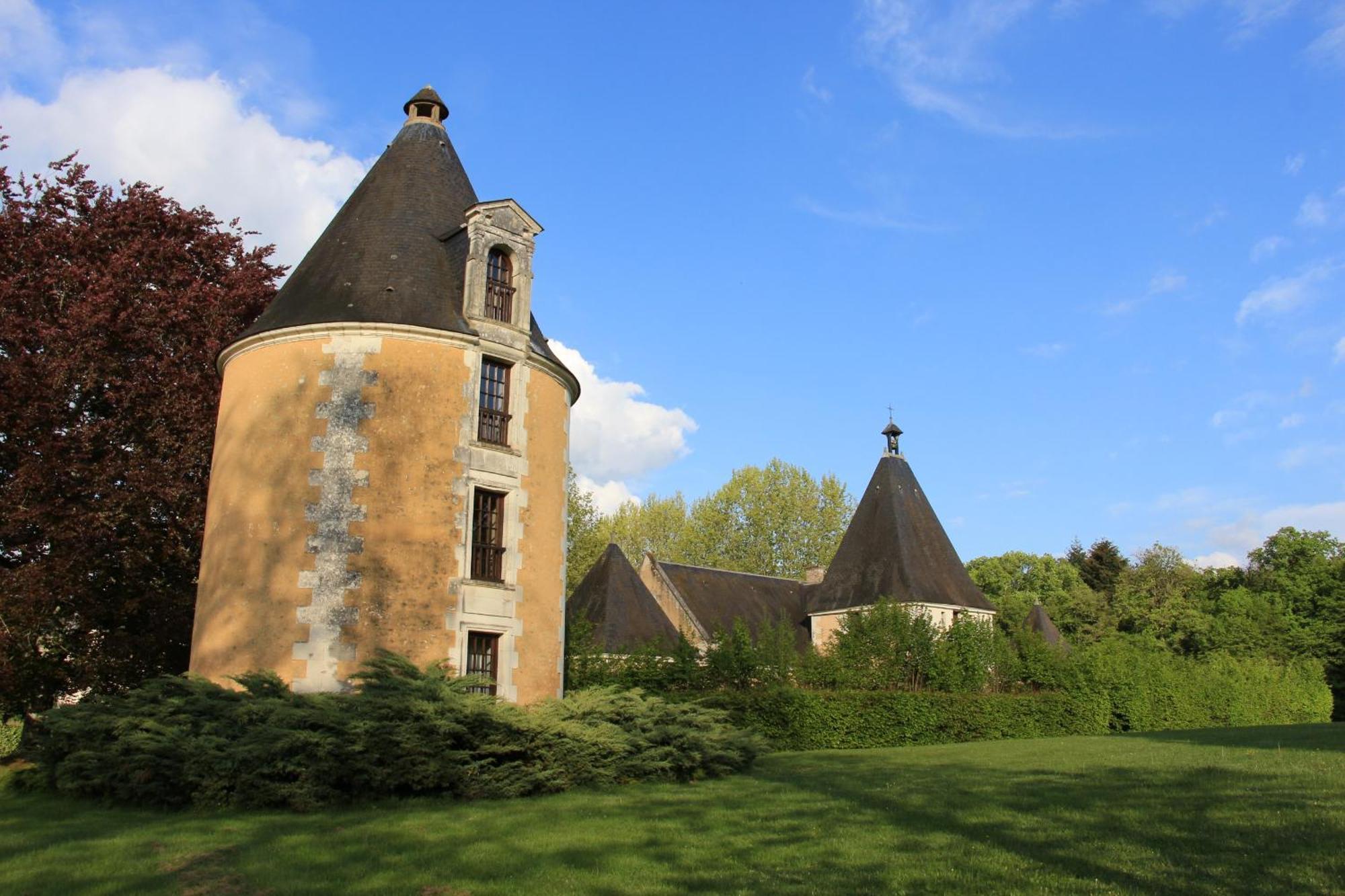 Chateau De La Menaudiere Chissay-en-Touraine Exterior photo