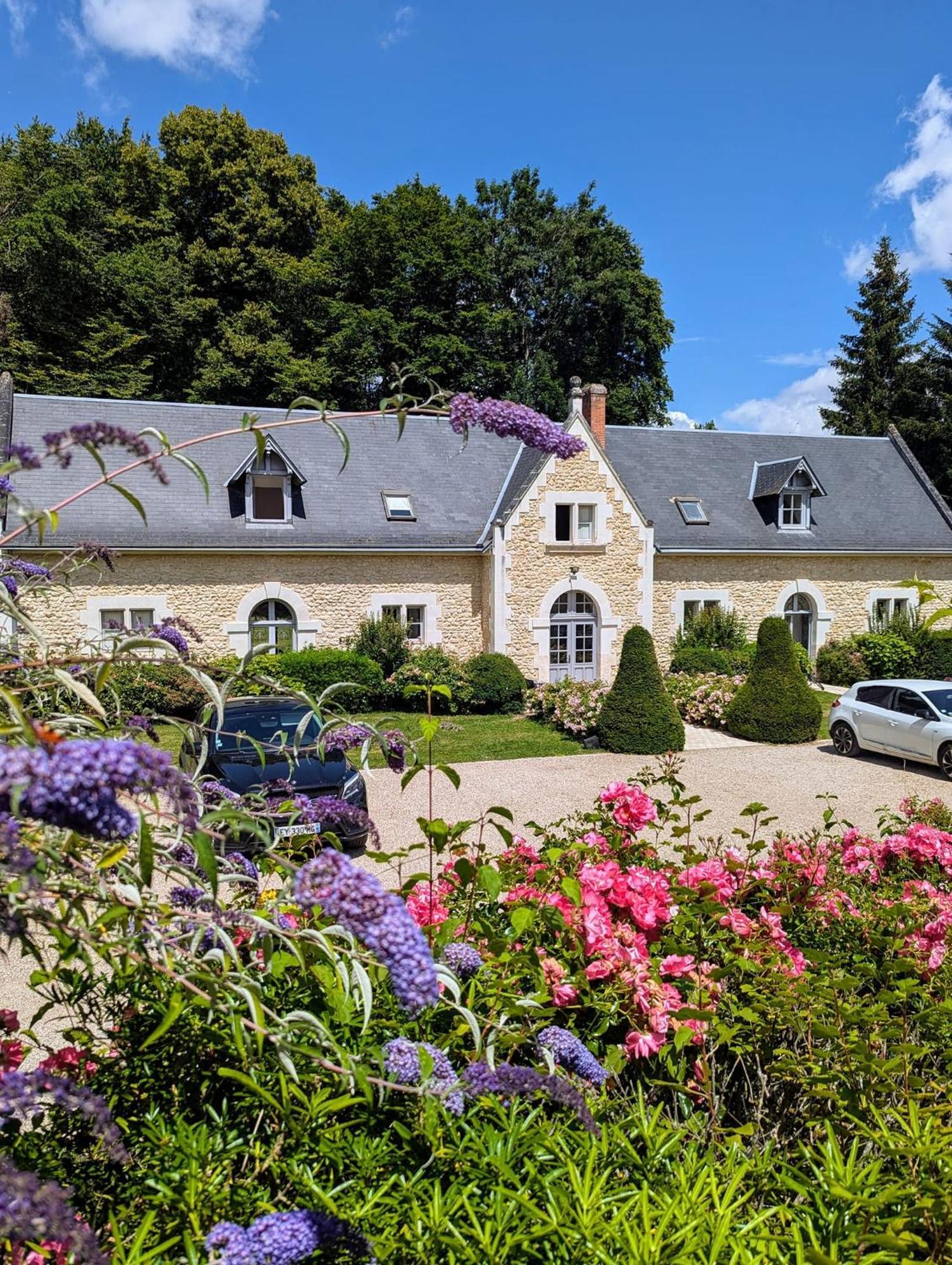 Chateau De La Menaudiere Chissay-en-Touraine Exterior photo