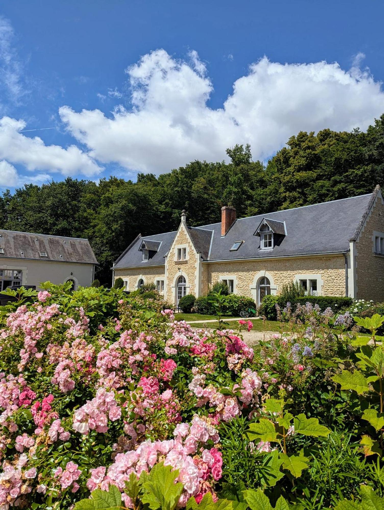 Chateau De La Menaudiere Chissay-en-Touraine Exterior photo